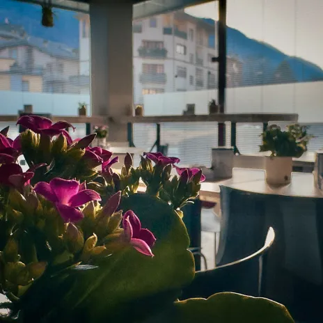 Distillati Artigianali